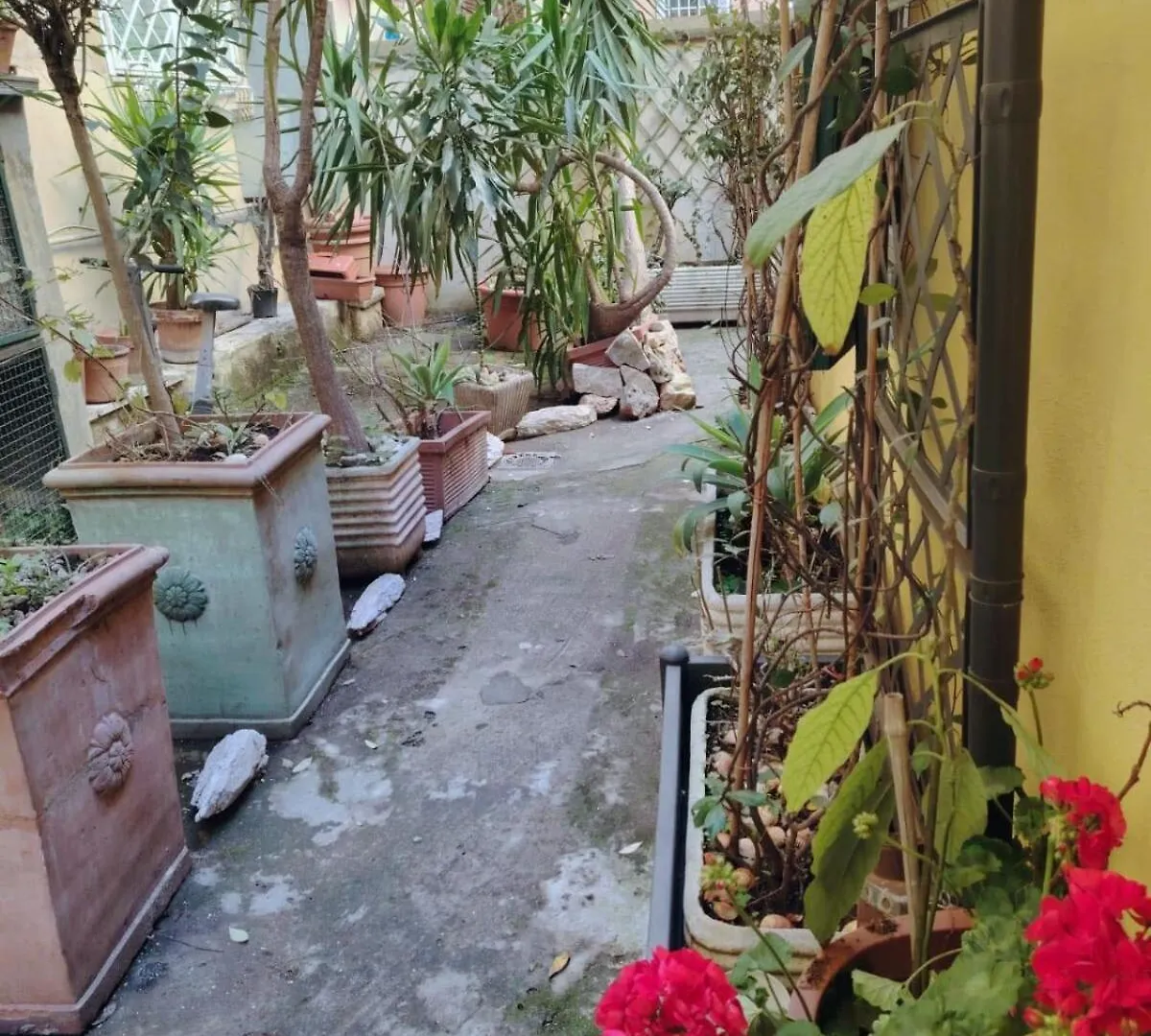 Testaccio Dream Rome Historic Centre